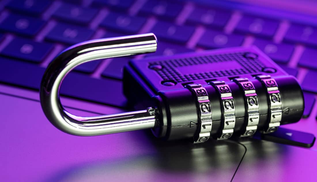 What is Vulnerability in Cybersecurity?